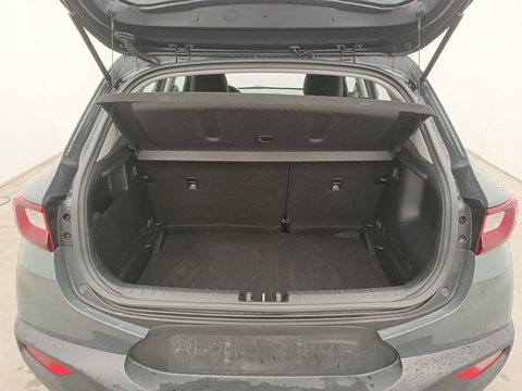 Trunk