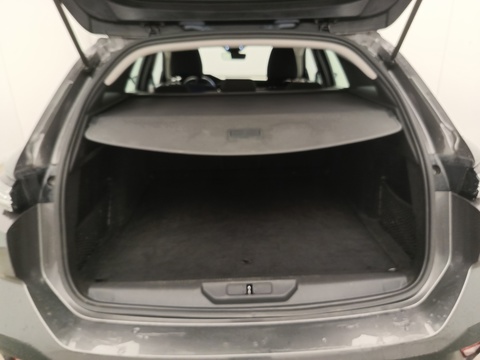 Trunk