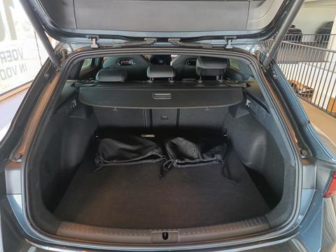 Trunk