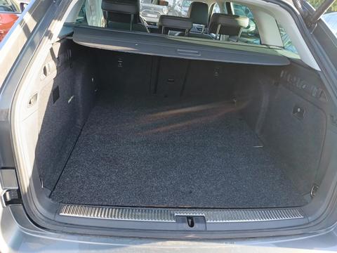 Trunk