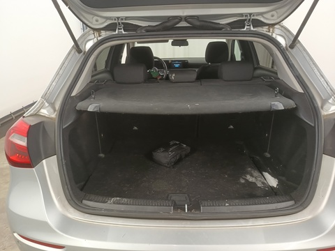 Trunk